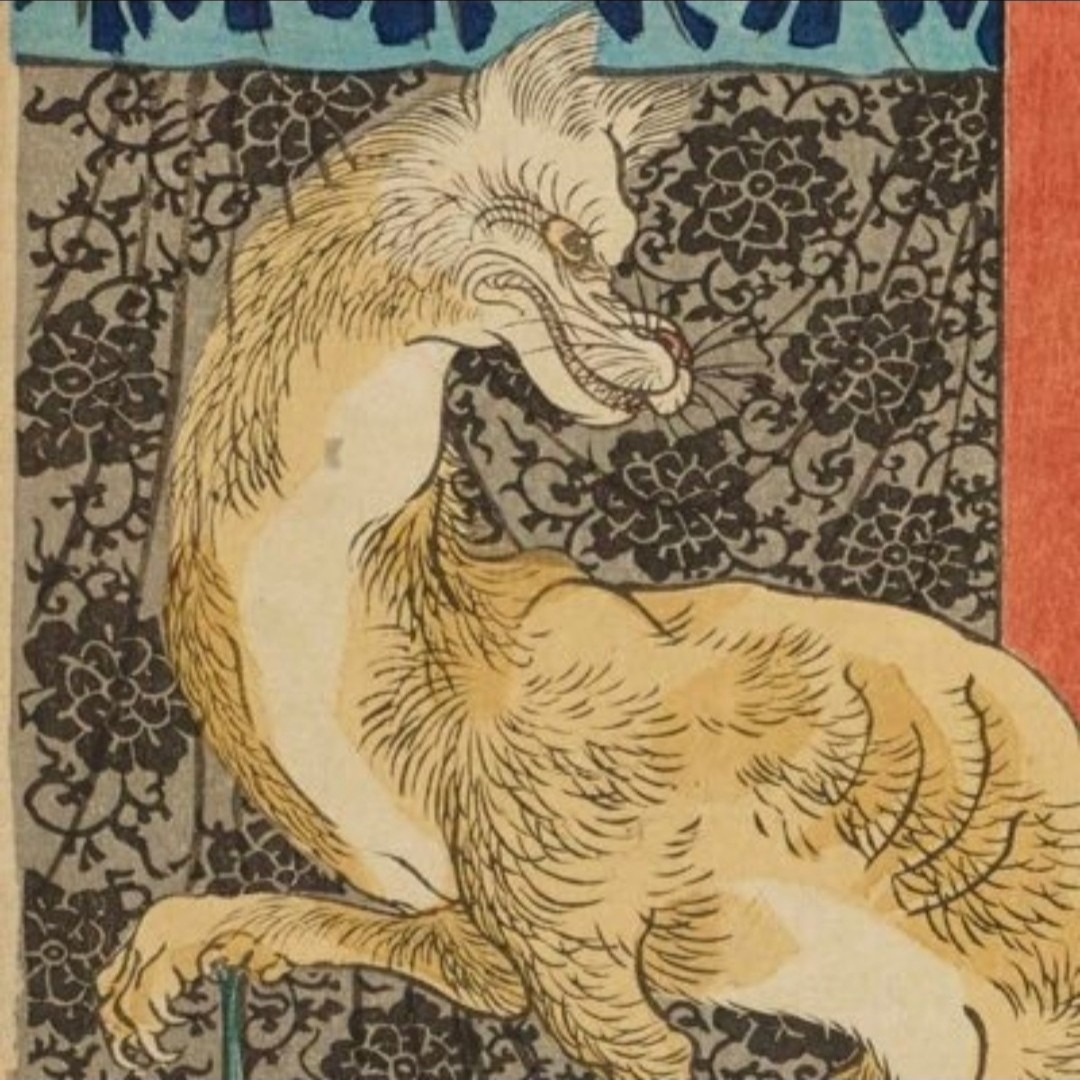 kyuubinokitsune